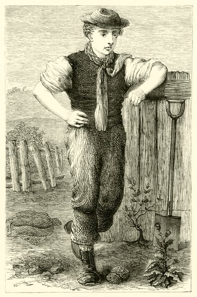 Young Gardener by English School