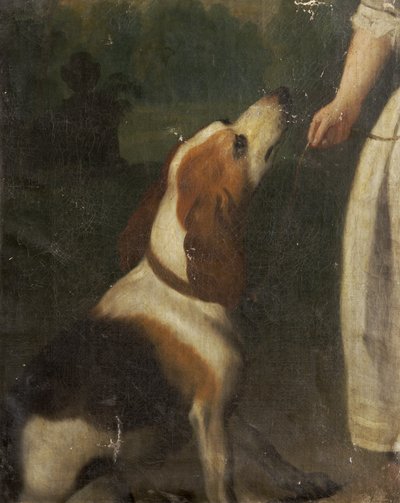 A Hound by English School English School