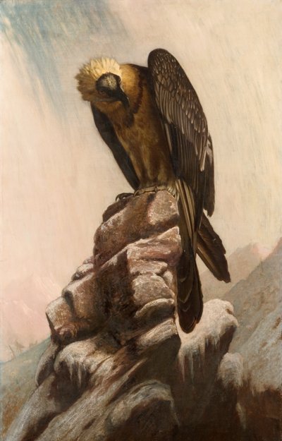 Eagle on Cliff by English School English School