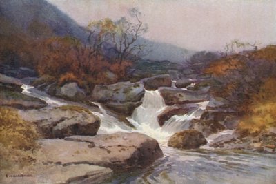 A Dartmoor Stream by Ernest William Haslehust