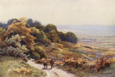 Burley Moor by Ernest William Haslehust