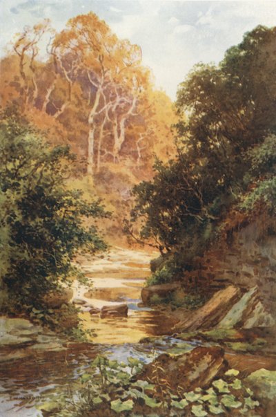 Hayburn Wyke by Ernest William Haslehust