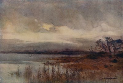 Hickling Broad by Ernest William Haslehust