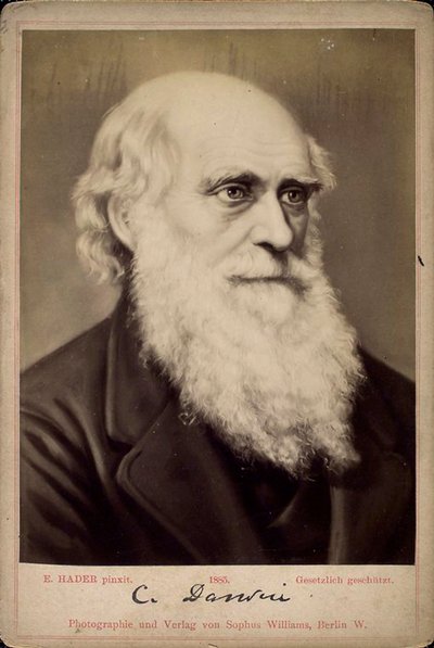 Charles Darwin, British Naturalist, c1860s-c1870s by Ernst Hader