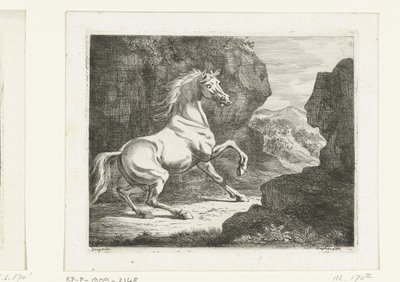 Bouncing White Stallion by Ernst Willem Jan Bagelaar