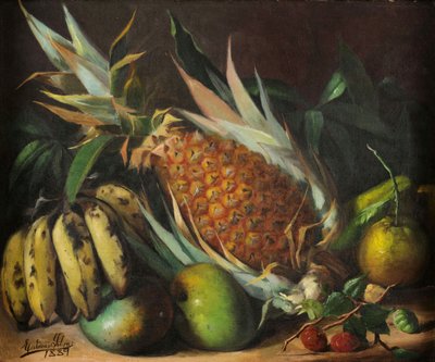 Still Life by Estevao Roberto da Silva