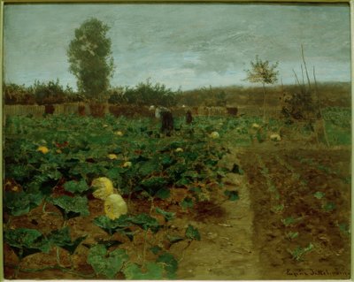 Pumpkin Field by Eugen Jettel