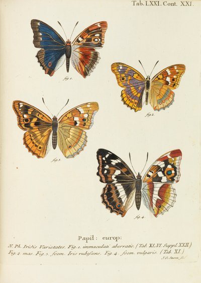 Die Schmetterlinge by Eugen Johann Christoph Esper