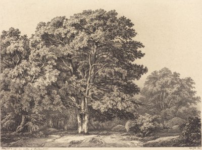 Entrance to a Forest by Eugene Bléry