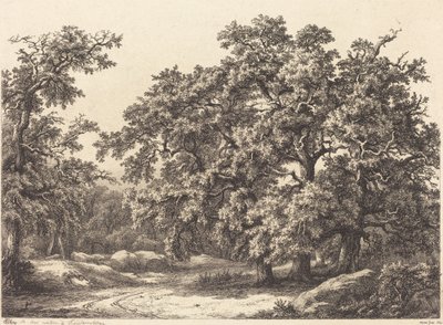 Oaks by Eugene Bléry