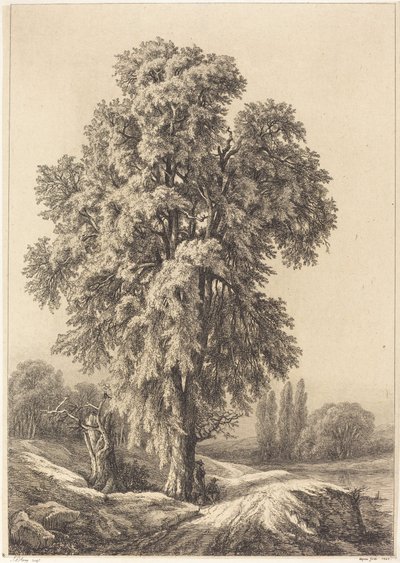 The Elm Tree, 1840 by Eugene Bléry
