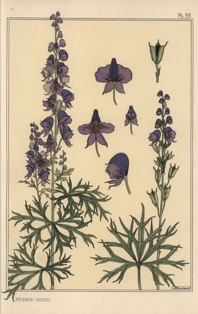 Monkshood Botanical Study by Eugene Grasset