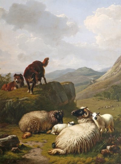 Sheep and dogs by Eugene Joseph Verboeckhoven