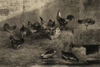 Chickens and Ducks by Eugene Leroux
