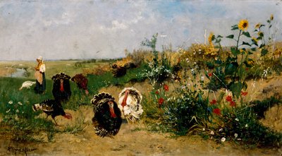 Turkeys by Eugenio Spreafico