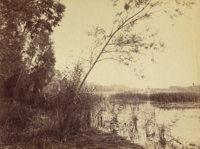 Marais de Fampoux, early 1860s by Eugène Cuvelier
