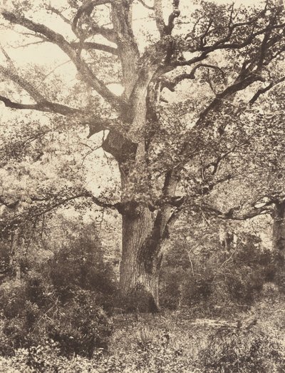 Near the Bodmer by Eugène Cuvelier