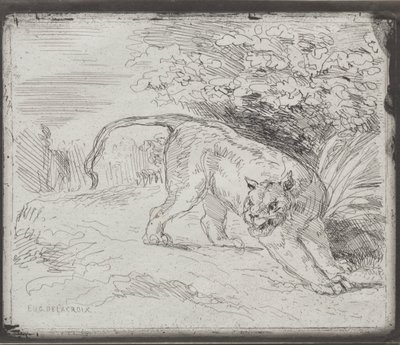 A Trapped Tiger by Eugène Delacroix