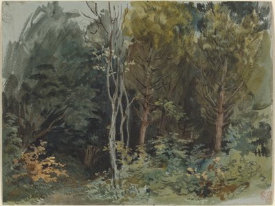 The Edge of a Wood at Nohant by Eugène Delacroix