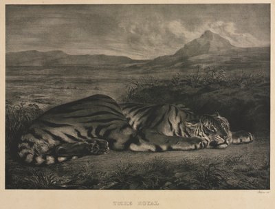 Royal Tiger by Eugène Delacroix