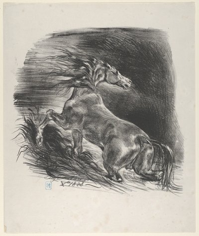 Wild Horse by Eugène Delacroix