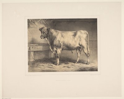 Bull by Eugène Verboeckhoven