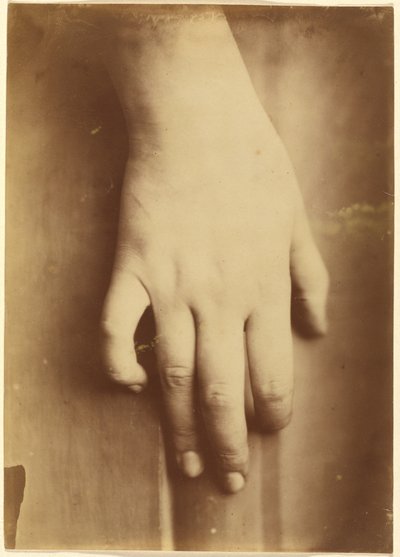 Study of a Hand by European 19th Century