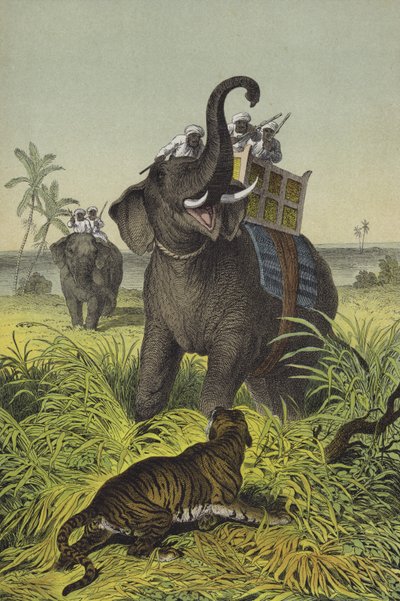 Animals and plants of India by European School