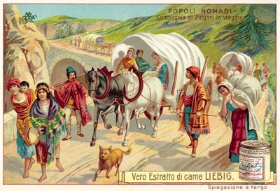 Company of Gypsies Travelling by European School