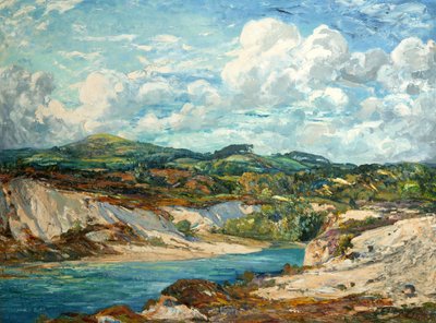 Creech Barrow, Dorset by Evelyn Cheston