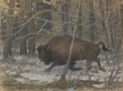 The wood bison by Evgeny Alexandrovich Tichmenev
