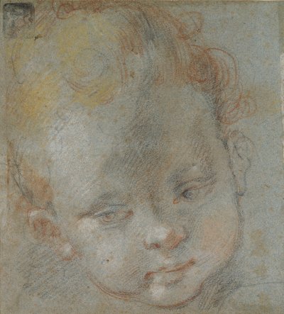 Head of a Child, late 16th century by Federico Barocci