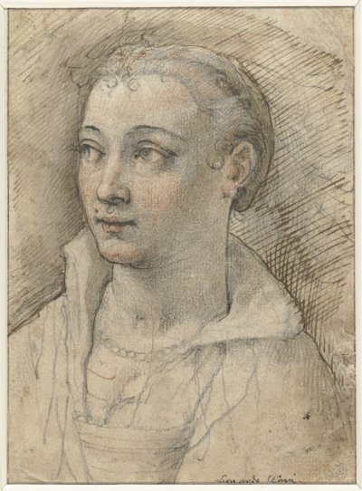 Portrait of an Unknown Woman by Federico Zuccaro