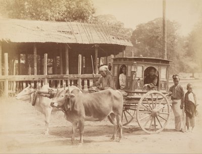 Burmese Public Carriage by Felice Beato