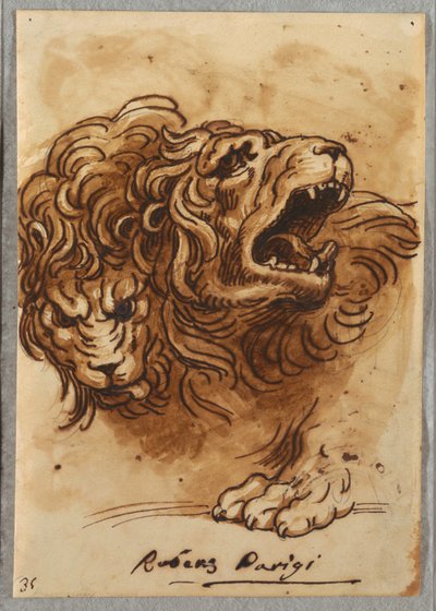 Two Lion