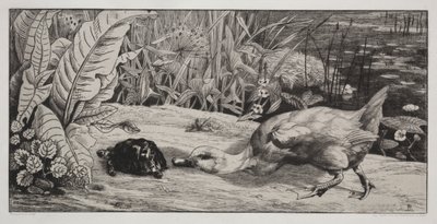 An Unknown by Felix Bracquemond