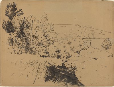 Coastal Landscape by Felix Bracquemond