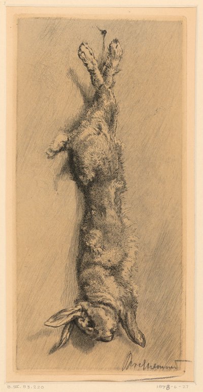 The Wild Rabbit by Felix Bracquemond