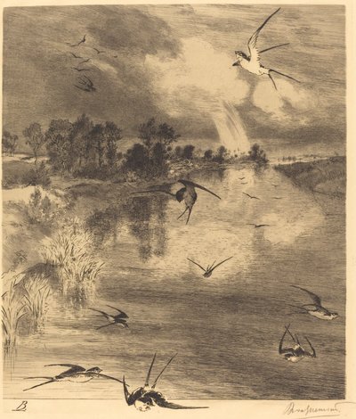 The Swallows by Felix Bracquemond