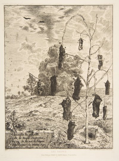 The Moles, 1854 by Felix Bracquemond