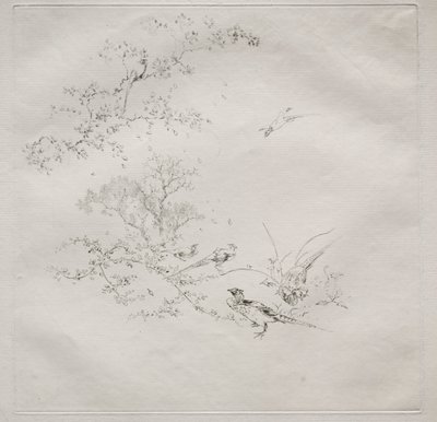 Parisian Service (Haviland service): Fog (no. 1) by Felix Bracquemond