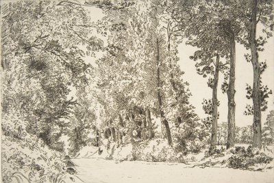 Rue des Bruyères, à Sèvres by Felix Bracquemond