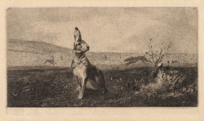 The Hare by Felix Bracquemond