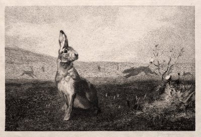 The Hare (after A. de Balleroy) by Felix Bracquemond