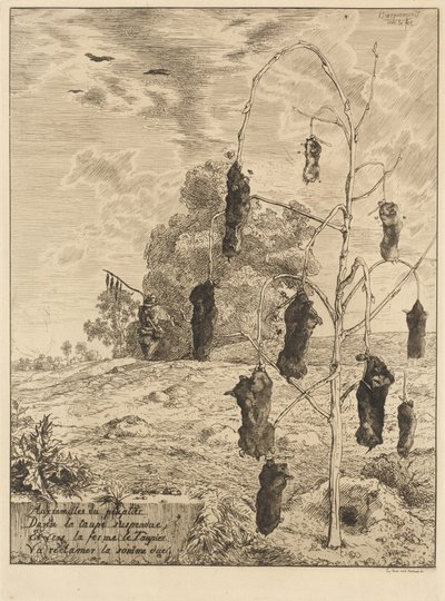 The Moles by Felix Bracquemond