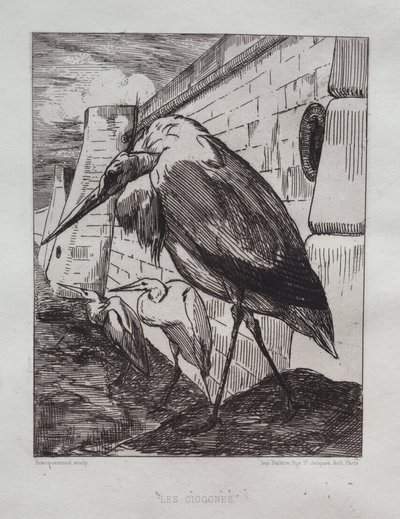 The Storks by Felix Bracquemond