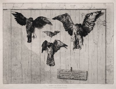 The Top of the Swing-Door by Felix Bracquemond