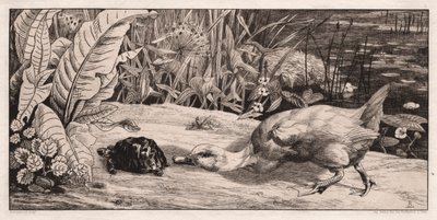 The Unknown by Felix Bracquemond