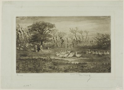 Geese by Felix Hilaire Buhot