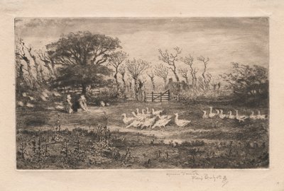 Geese by Felix Hilaire Buhot